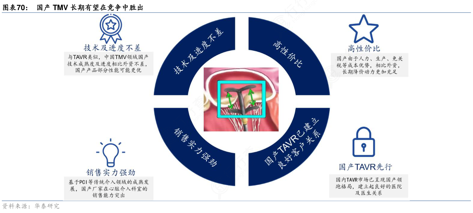 各位网友请教下国产TMV长期有望在竞争中胜出的消息_行行查_行业研究数据库