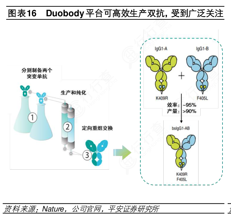 你知道Duobody平台可高效生产双抗，受到广泛关注的概念是怎样的_行行查_行业研究数据库