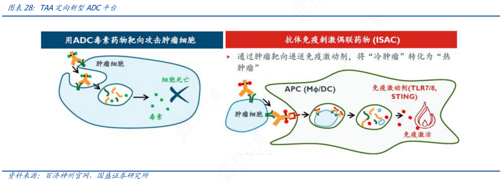 谁能回答TAA定向新型ADC平台的情况_行行查_行业研究数据库