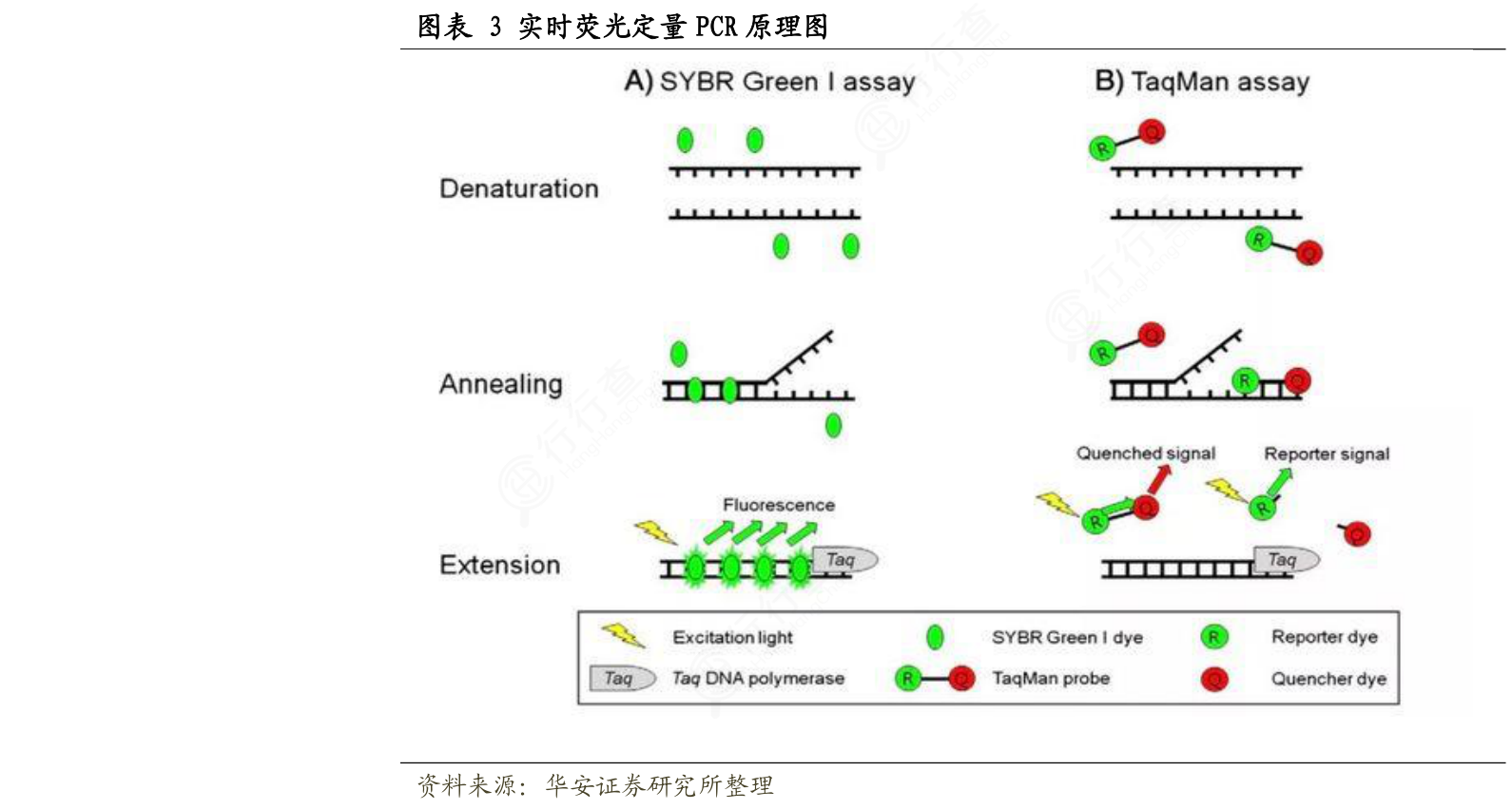 谁知道3_实时荧光定量PCR原理图这个问题_行行查_行业研究数据库